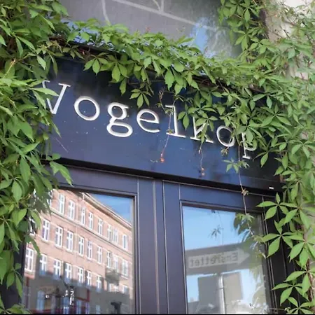 Vogelkop